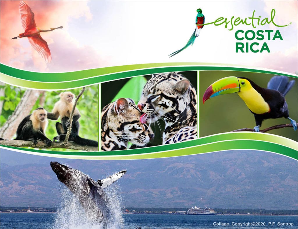 Image of Costa Rica immigration brochure