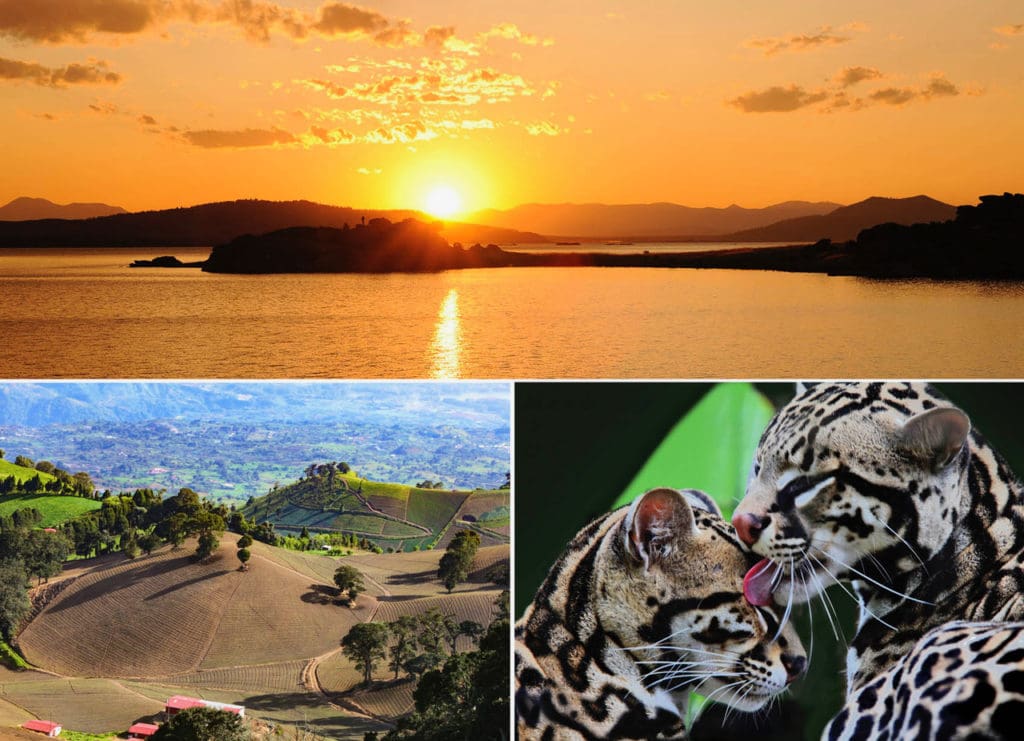 Sunset collage of images from Costa Rica
