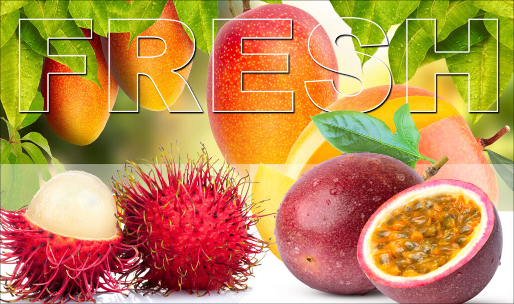 Image representing the healing power of Coata Rica