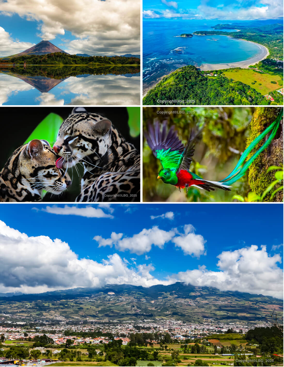 Collage of images of beautiful Costa Rica: mountain, ocean coast, cheetahs, colourful bird, city with mountain in the distance.